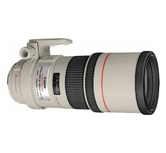 Canon EF 300mm f/4L IS USM Lens