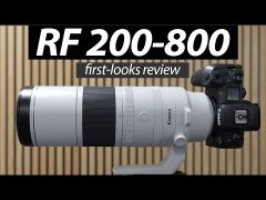 Canon RF 200-800mm f/6.3-9 IS USM Lens