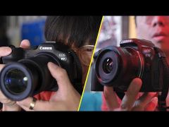 Canon EOS R7 + RF-S 18-150mm f/3.5-6.3 IS STM Lens SPOT DEAL