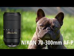 Nikon AF-P 70-300mm f/4.5-5.6E ED VR FX Lens SPOT DEAL