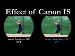 Canon 12x32 IS Binoculars