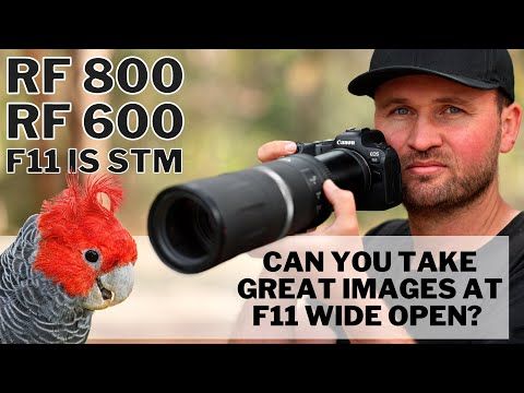 $926 Canon RF 600mm f/11 IS STM Lens IN STOCK | Buy Cameras Direct Australia